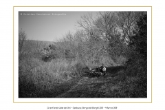 Cristian-010