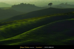 galvagno-3