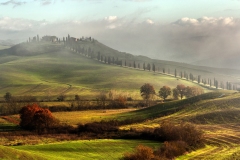 31-Magini-Azelio-Alba-in-Val-dArbia