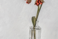 35-Mazzola-Renzo-Natura-morta-1
