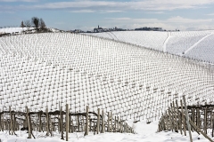 5-Bianco-Vincenzo-Monferrato