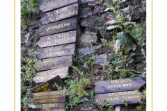 Apricale-Im-2009-6