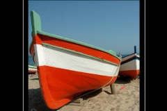 IMG-1