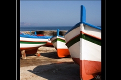 IMG-11