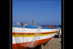 IMG-12