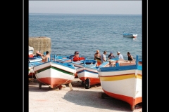 IMG-13