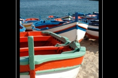 IMG-2