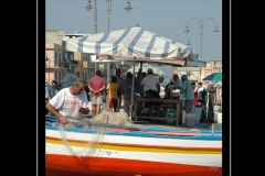 IMG-3