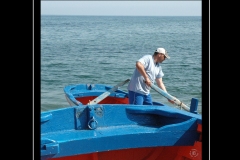 IMG-4
