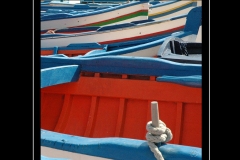 IMG-5