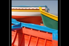 IMG-8