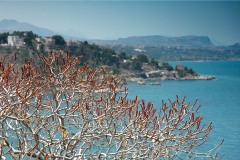 aspra-porticello-02
