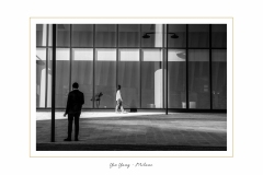Yin-Yang-Milano