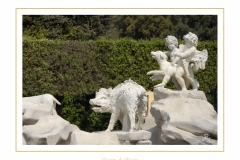 caserta-014