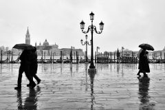 Zarrelli-Saverio-4