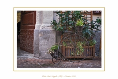Santangelo-010