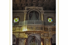 Santangelo-012