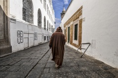 ANZMAR-3