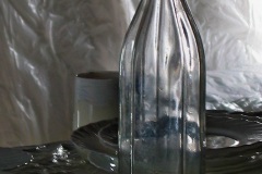 BERMIC-1