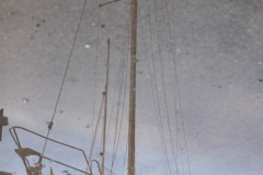 BROTER-4