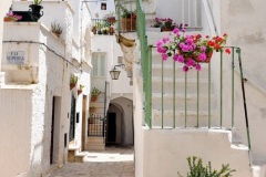 CALFRA-5