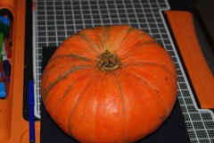 CATALF-1