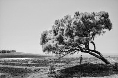 CONMAR-2