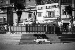 COSIVA-5