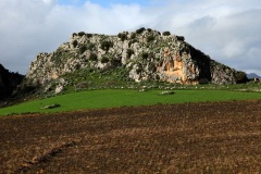 LONPIE-1