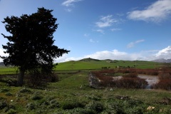 LONPIE-2