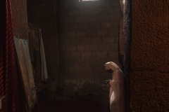 MOGGIO-1