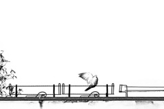 PARVAL-5