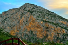 RENANT-2