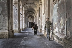 SARGIO-3