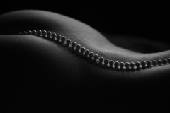 CARMAT-2