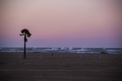 LACFER-2