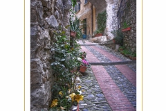 Dolceacqua-019