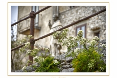 Erice-0020