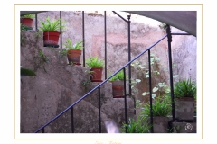 Erice-020