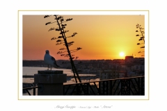 Alongi-Giuseppe