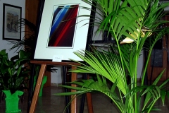 Ia-mostra-13