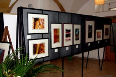 Ia-mostra-6