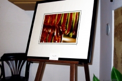 Ia-mostra-7