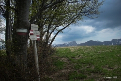 9-maggio-2008-01