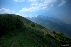 9-maggio-2008-03