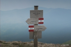 9-maggio-2008-06