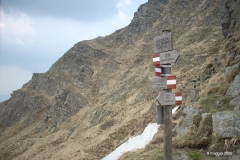 9-maggio-2008-09