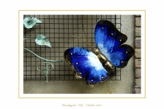 Guardiagrele-04