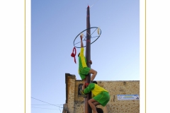 Palio-09
