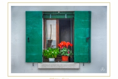 Pallestrina-0010